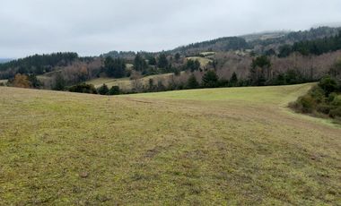 Campo de 109 hectáreas en La Unión, Loncotregua – Región de Los Ríos