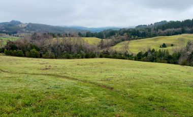 Campo de 109 hectáreas en La Unión, Loncotregua – Región de Los Ríos
