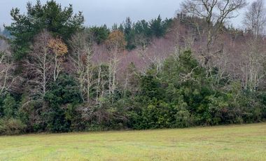 Campo de 109 hectáreas en La Unión, Loncotregua – Región de Los Ríos