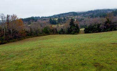 Campo de 109 hectáreas en La Unión, Loncotregua – Región de Los Ríos