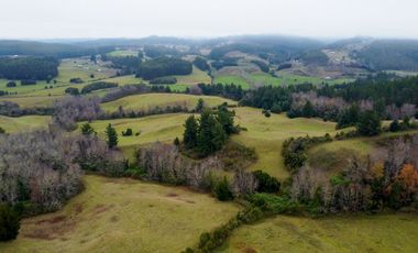 Campo de 109 hectáreas en La Unión, Loncotregua – Región de Los Ríos
