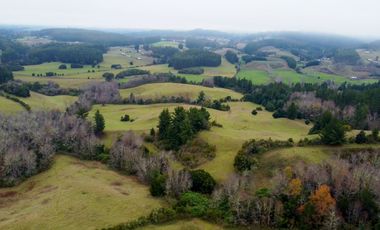 Campo de 109 hectáreas en La Unión, Loncotregua – Región de Los Ríos