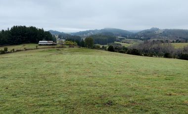 Campo de 109 hectáreas en La Unión, Loncotregua – Región de Los Ríos