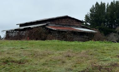 Campo de 109 hectáreas en La Unión, Loncotregua – Región de Los Ríos