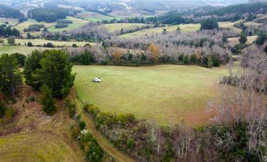Campo de 109 hectáreas en La Unión, Loncotregua – Región de Los Ríos