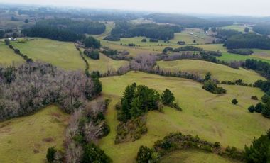 Campo de 109 hectáreas en La Unión, Loncotregua – Región de Los Ríos