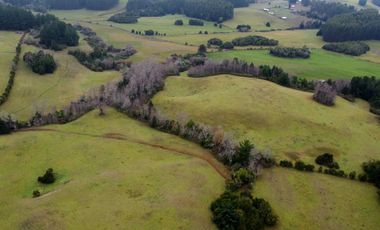 Campo de 109 hectáreas en La Unión, Loncotregua – Región de Los Ríos
