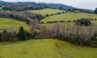 Campo de 109 hectáreas en La Unión, Loncotregua – Región de Los Ríos