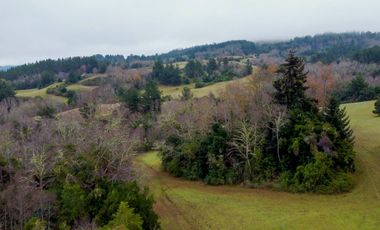 Campo de 109 hectáreas en La Unión, Loncotregua – Región de Los Ríos