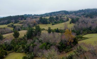 Campo de 109 hectáreas en La Unión, Loncotregua – Región de Los Ríos