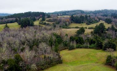 Campo de 109 hectáreas en La Unión, Loncotregua – Región de Los Ríos