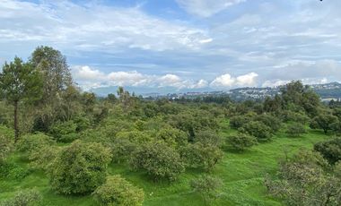 HERTA DE AGUACATE EN ZITZCUARO, DE 8 HECTAREAS, DE 25AÑOS DE EDAD
