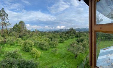 HERTA DE AGUACATE EN ZITZCUARO, DE 8 HECTAREAS, DE 25AÑOS DE EDAD