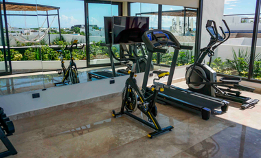 Estudio Completamente Amueblado y Equipado