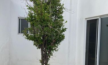 CASA UNA SOLA PLANTA COLONIA DEL VALLE