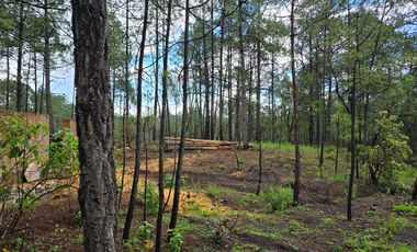 Terreno con barda en Venta en Quinta Andrea, Huasca de Ocampo – 1,000 m²