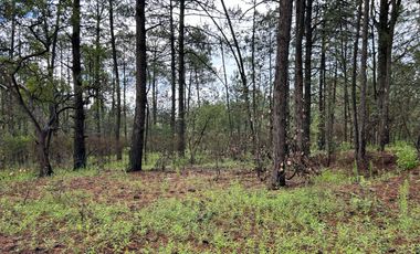 Terreno con barda en Venta en Quinta Andrea, Huasca de Ocampo – 1,000 m²