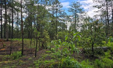 Terreno con barda en Venta en Quinta Andrea, Huasca de Ocampo – 1,000 m²