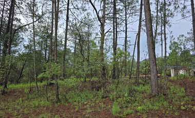 Terreno con barda en Venta en Quinta Andrea, Huasca de Ocampo – 1,000 m²