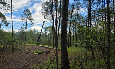 Terreno con barda en Venta en Quinta Andrea, Huasca de Ocampo – 1,000 m²