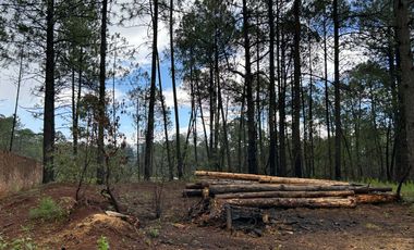 Terreno con barda en Venta en Quinta Andrea, Huasca de Ocampo – 1,000 m²