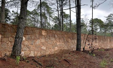 Terreno con barda en Venta en Quinta Andrea, Huasca de Ocampo – 1,000 m²