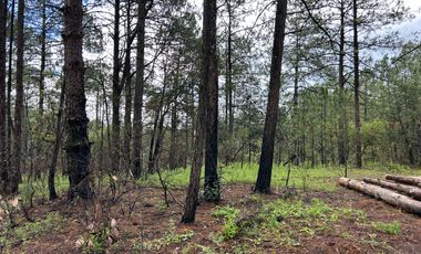 Terreno con barda en Venta en Quinta Andrea, Huasca de Ocampo – 1,000 m²