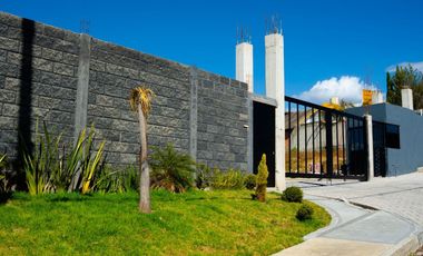San Lucas Great Town