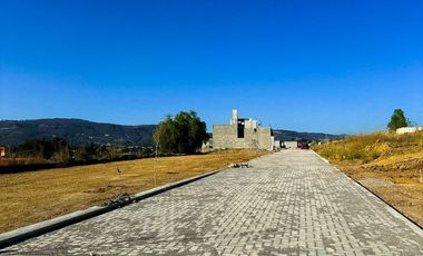 San Lucas Great Town