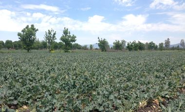 RANCHO EN VENTA EN EL MARQUEZ $ 3,500 000 LA HECATREA