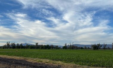 RANCHO EN VENTA EN EL MARQUEZ $ 3,500 000 LA HECATREA
