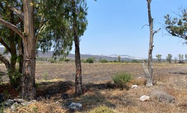 RANCHO EN VENTA EN EL MARQUEZ $ 3,500 000 LA HECATREA