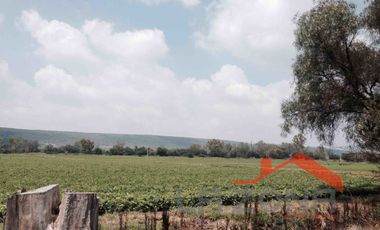 RANCHO EN VENTA EN EL MARQUEZ $ 3,500 000 LA HECATREA