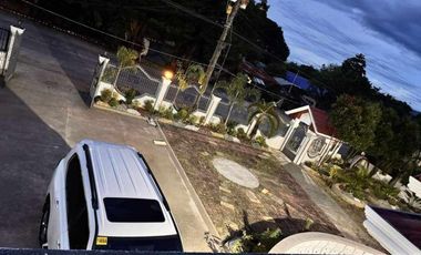 Presidential Style House Single House and Lot with swimming pool for sale Agoo La Union-MAA