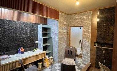 Presidential Style House Single House and Lot with swimming pool for sale Agoo La Union-MAA