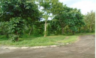 For Sale: Lot Area in Promenade Subdivision