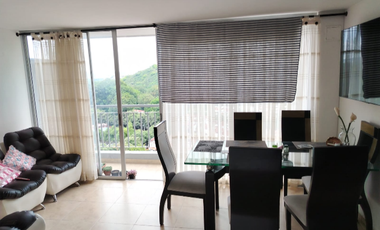 Acogedor y Bonito Apartamento Floridablanca
