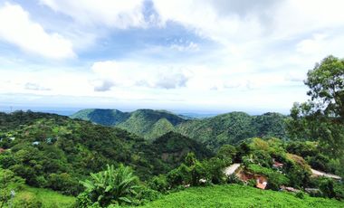 50% OFF ROBERTSVILLE CITY CABIN 1 Bedroom with Loft for sale Taloy Sur Tuba-MAA