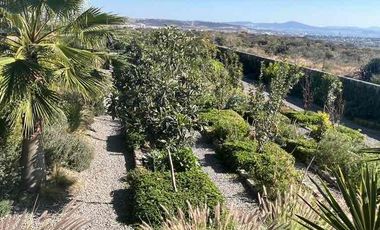 DEPARTAMENTO EN RENTA EN JURIQUILLA TERRAZA 100 M2