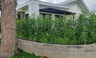 Two (2) Bedroom Bungalow House FOR RENT inside Clark Freeport Zone Pampanga.