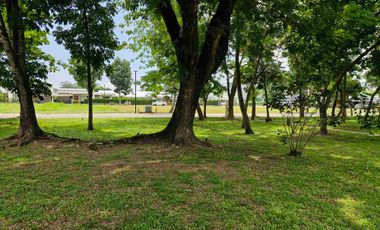 Spacious Fully Furnished 3-Bedroom Bungalow House for Rent in Clark Freeport Zone, Pampanga.