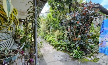 RUMAH KERATON JOGJA, ORGANIK MILIK PRIBADI DI YOGYAKARTA