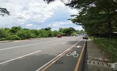 Prime 1.8-Hectare Lot in Mandalagan Bacolod for Sale – Perfect for Commercial or Mixed-Use Projects