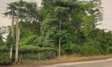 Prime 1.8-Hectare Lot in Mandalagan Bacolod for Sale – Perfect for Commercial or Mixed-Use Projects