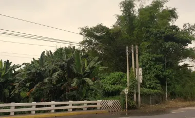 Prime 1.8-Hectare Lot in Mandalagan Bacolod for Sale – Perfect for Commercial or Mixed-Use Projects