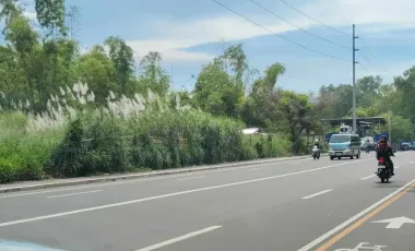 Prime 1.8-Hectare Lot in Mandalagan Bacolod for Sale – Perfect for Commercial or Mixed-Use Projects