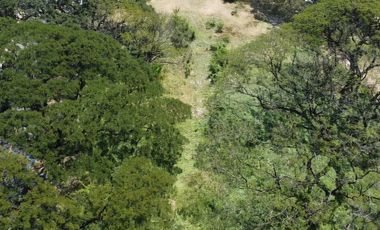 Prime Vacant Lot with wide frontage for Sale in West Service Road, Paranaque. Good for commercial or residential development