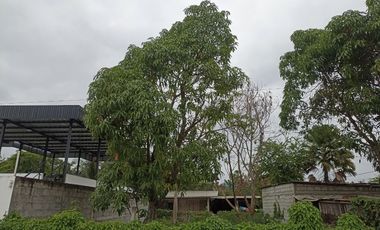 Terreno en venta en Portoviejo de 200 mts2 por hospital Solca