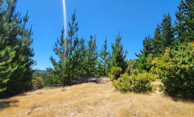 Terrenos con vistas panorámicas a 50 min de Cauquenes - Proyecto Club de Campo Cauquenes