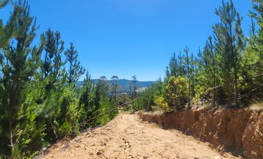 Terrenos con vistas panorámicas a 50 min de Cauquenes - Proyecto Club de Campo Cauquenes